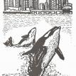 Seattle's Orca Whales by Billie Torbenson